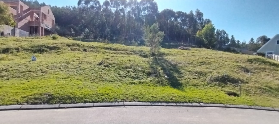 0 Bedroom Property for Sale in Green Pastures Western Cape